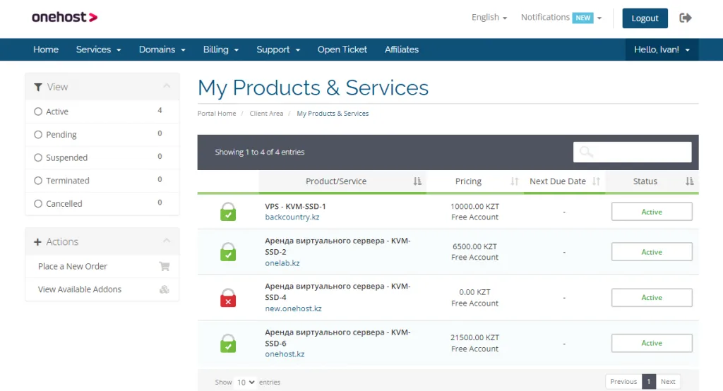 VPS Service Management