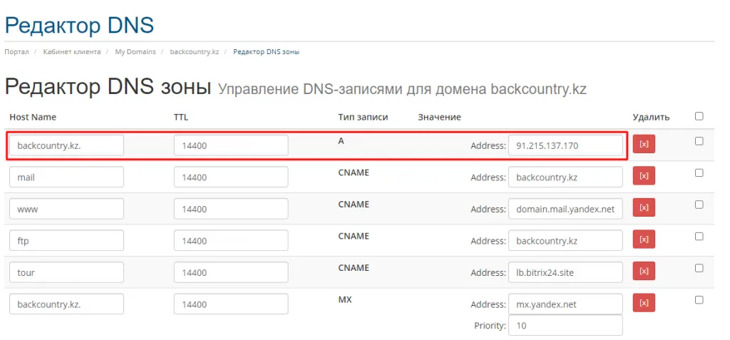 DNS 区域编辑器
