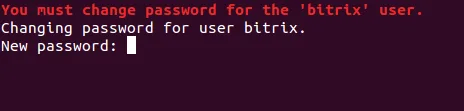 Настройка окружения BitrixVM и первые шаги